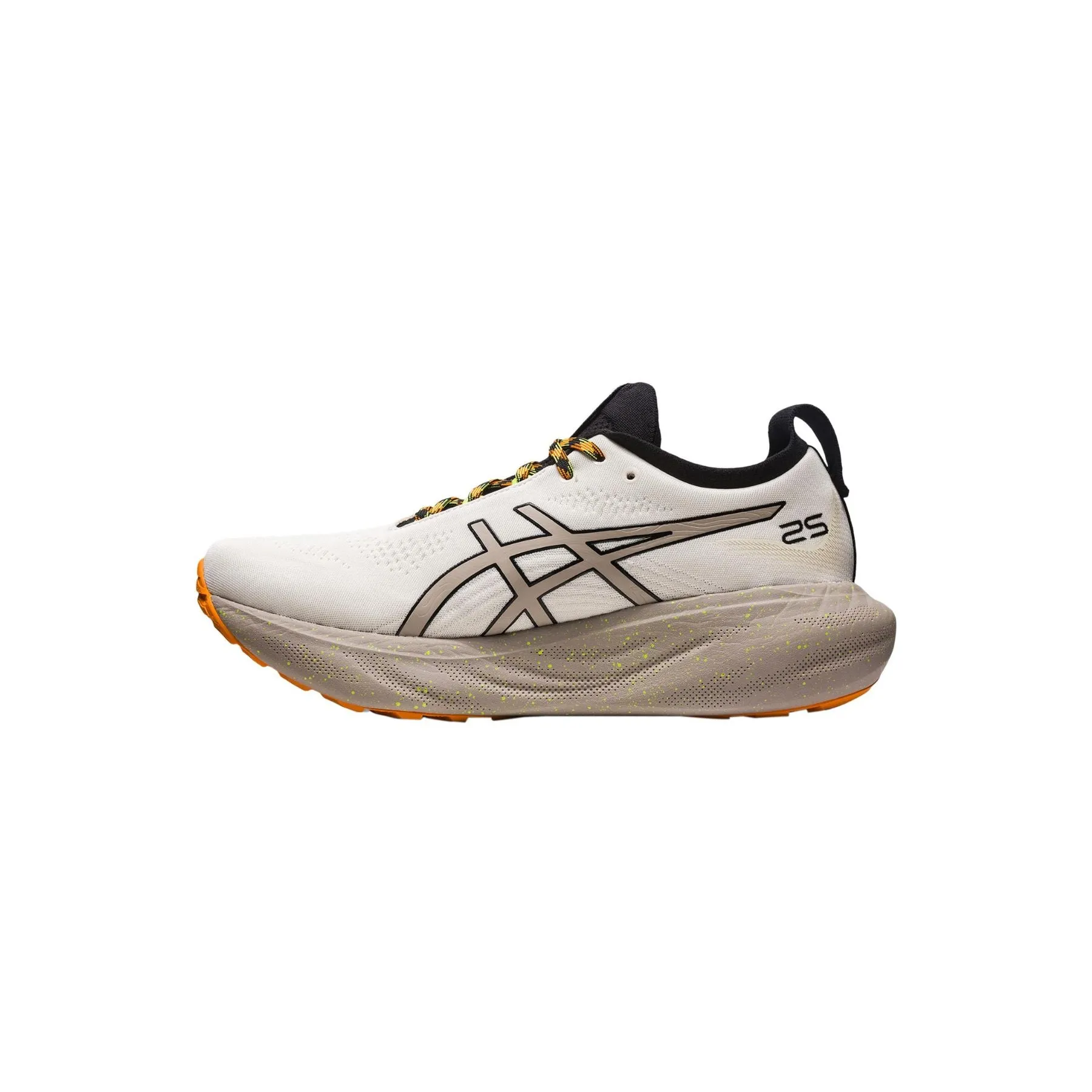 ASICS GEL NIMBUS 25 TR